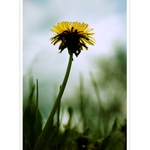 Byla jednou jedna...