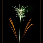 ohňostrojová květina