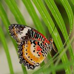 před prudkým stoupáním