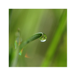 CO SE DĚJE V TRÁVĚ 3