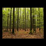 1. máj ve vojenském újezdu Libavá