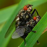 Řeckořímskej ................