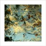 *** Vodní hladina ***