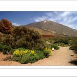 *** Parque nacional del Teide II. ***