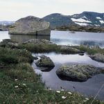 Finse, 1222 m.n.m., Norsko