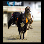 ... usmev prosim ...