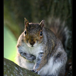 .. podrbej me tady ! ..