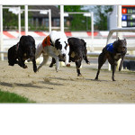 .. Hopsa Hejsa do cile ...