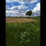 *** JEDEN OBYČEJNÝ DEN ***