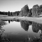 Šumná Šumava.......... Polka