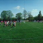 Vyškov rugby