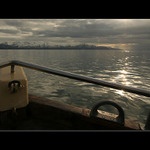 Čekání na velryby