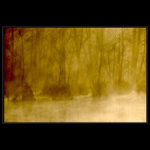 Pohled pod pokličku III.