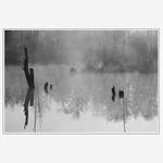 Příjemné ráno...