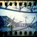 Versaille - Le Grand Trianon