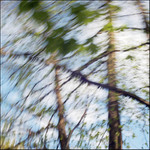 ..takhle to dopadne...