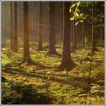 ..sluneční vítr...