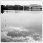 .. ... .    .    ..    .