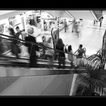 Jen stíny, dávno už né lidé