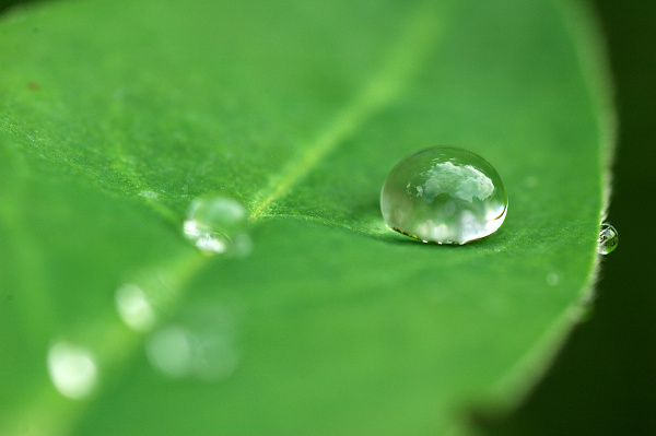 První pokusy s makrem