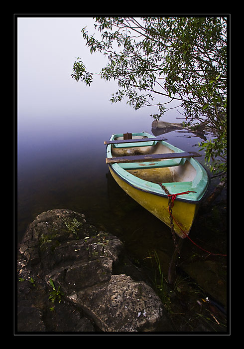 Fog 3