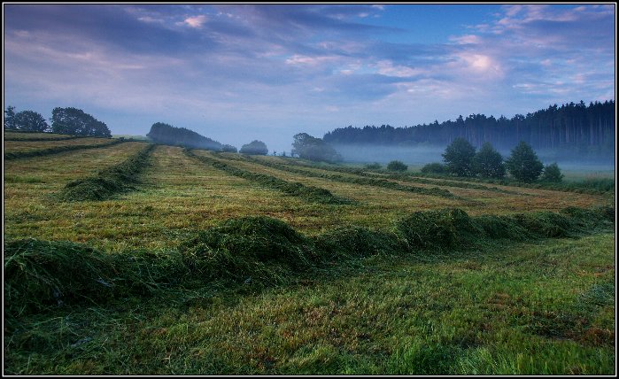 řádky