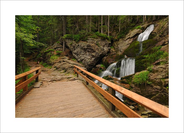 Bayerischer Wald