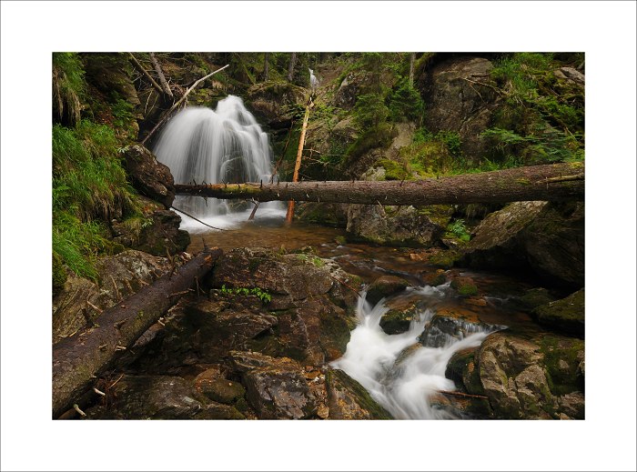 Bayerischer Wald III