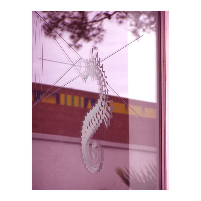 Mořského koníka viděti...