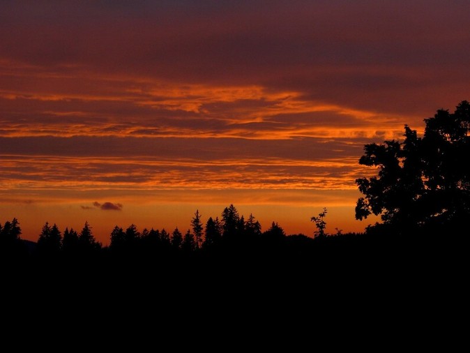 Jednoho letního večera...
