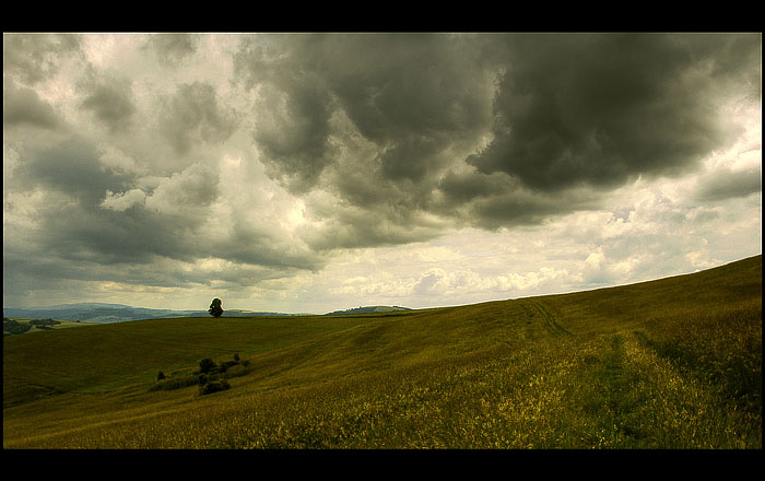 Bílé Karpaty III