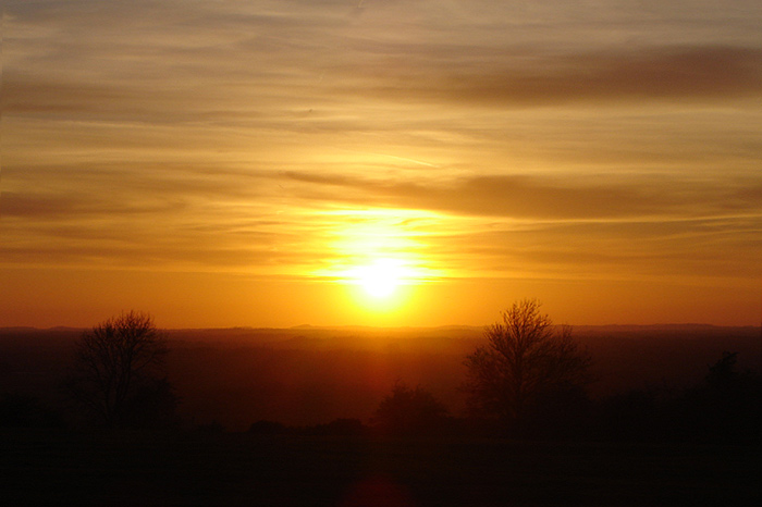 Tara Hills