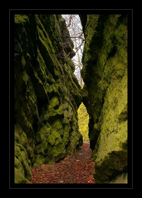 Waiting For A Princess