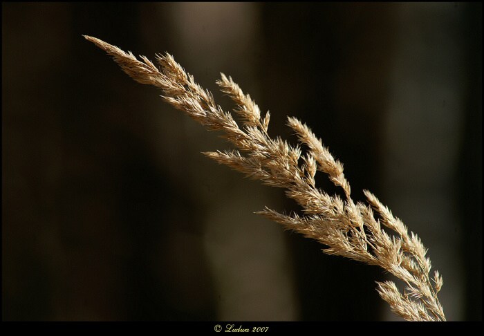 ....a bude zima,.......