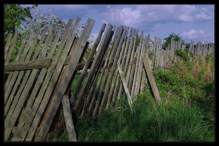 Old Fence