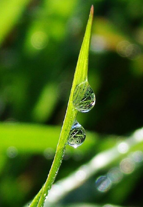 Taky to tady už bylo alespoň 100x