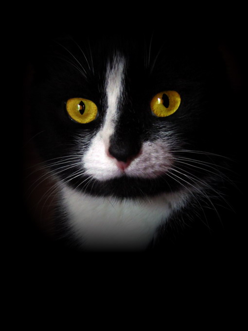 Azrael