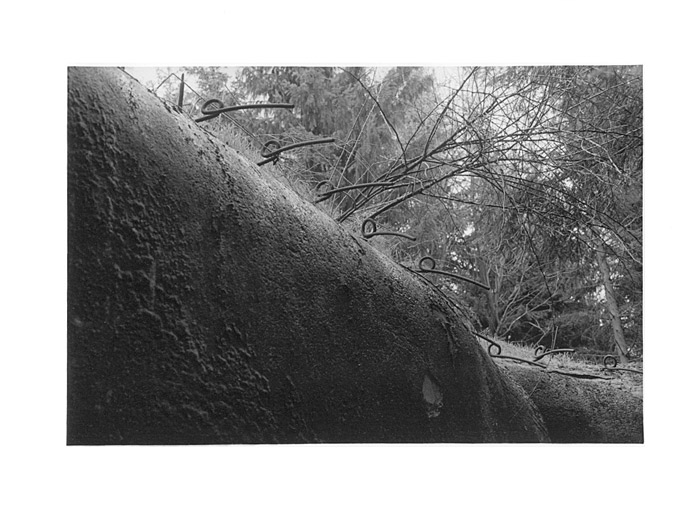 pevnosti na Rýchorách