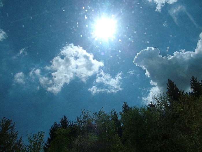 běžící beránek...