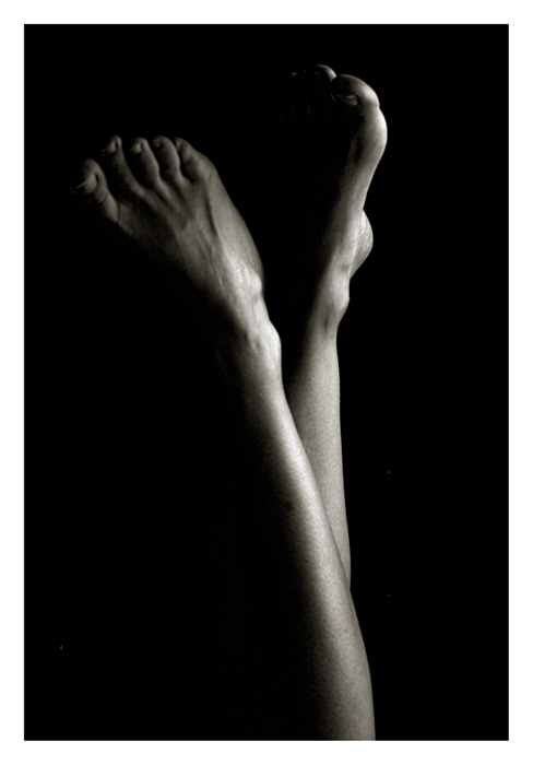 zátíší s květinou