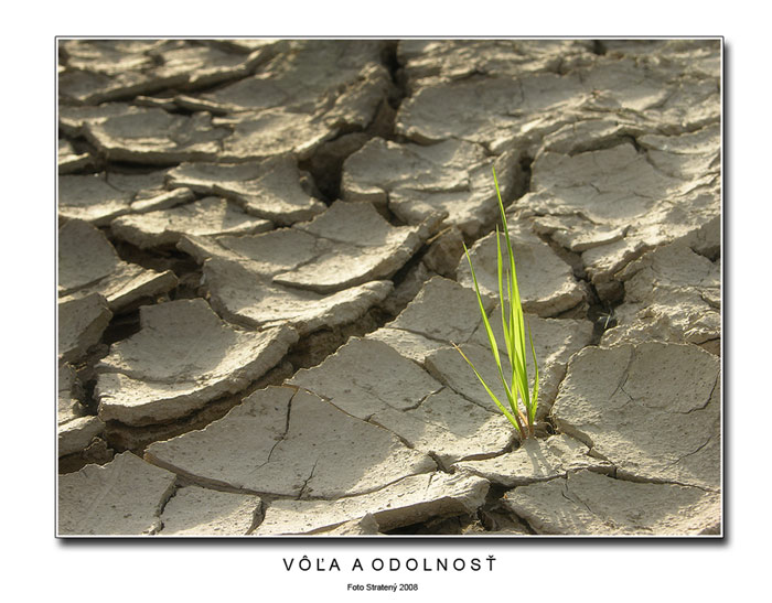Vôľa a odolnosť