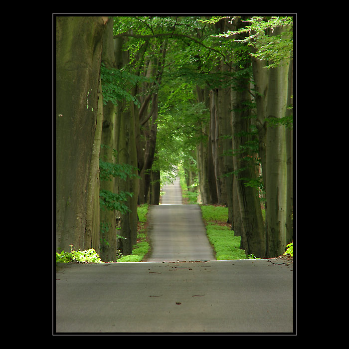 ~~~Tunel~~~