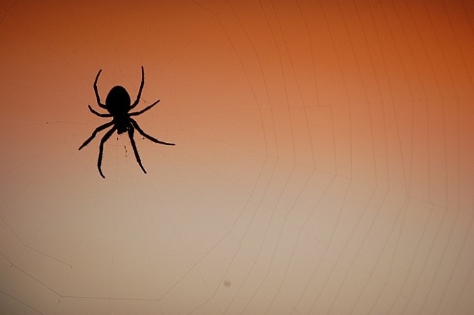 spider.. obnova netu po bouři..