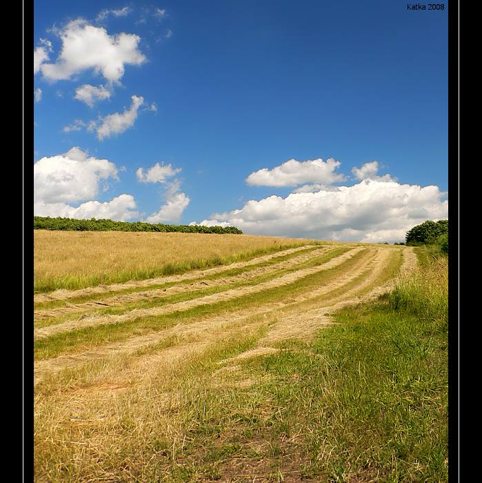 Letní krajina