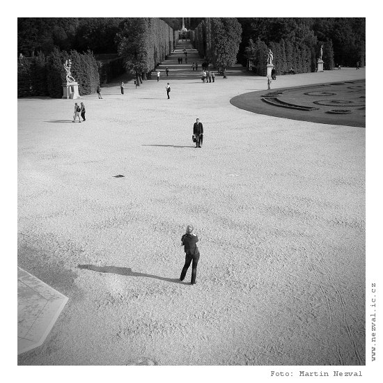 Usmívat se, vyletí ptáček