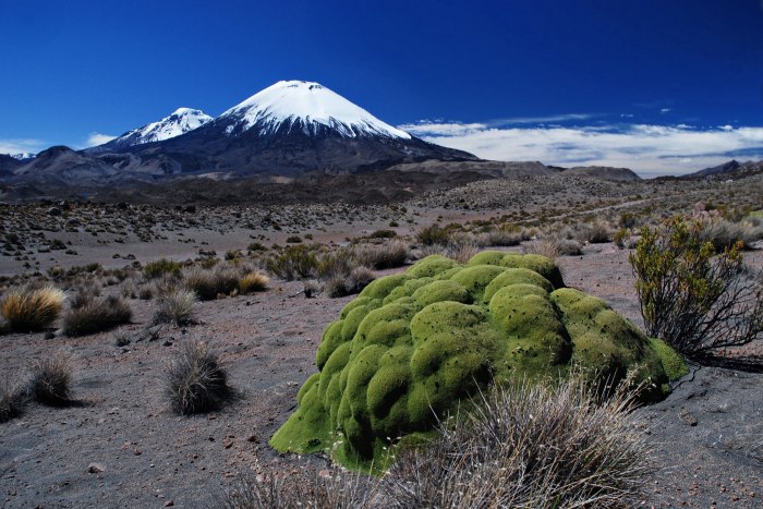 Parinacota II