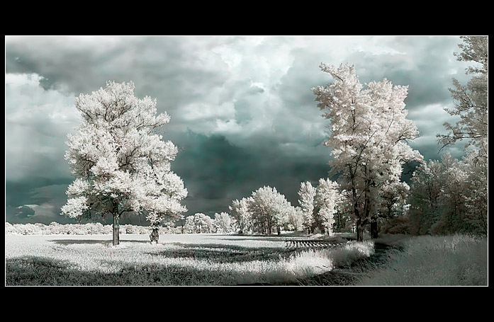 Pohádková krajinka