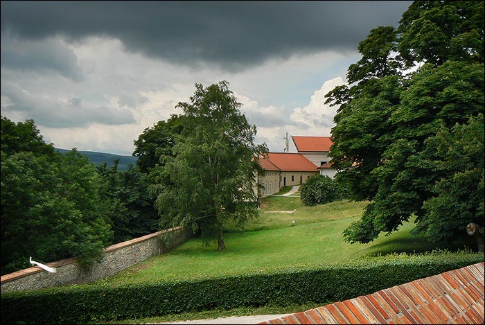 V zahrade bieleho pava