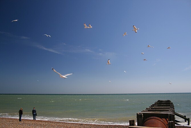 Na pláži v Hastings