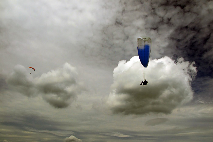Adrenalin cup 2008